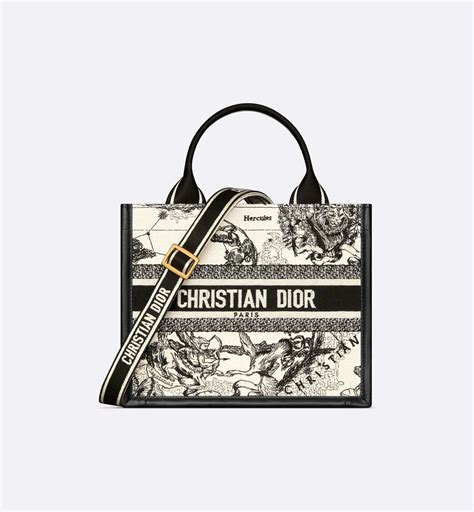 Small Dior Book Tote Latte and Black Dior Zodiac 